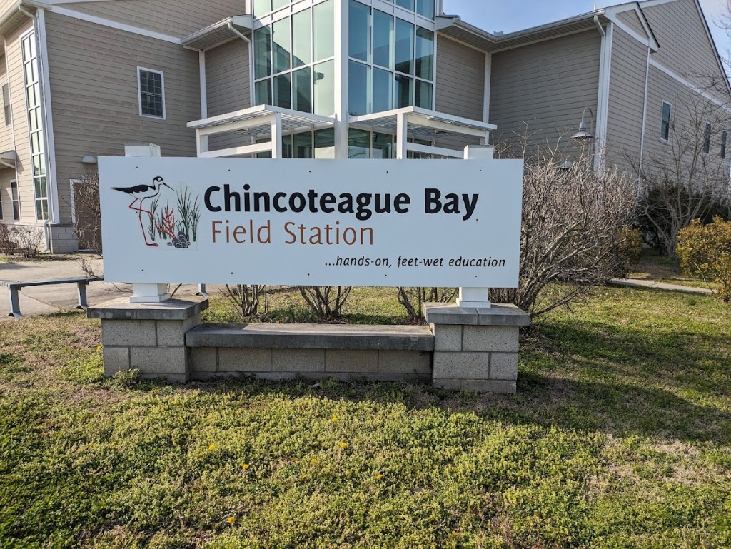 What’s it like taking a field course at the Chincoteague Bay Field&nbsp;Station?